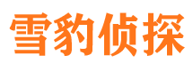 孟连侦探公司